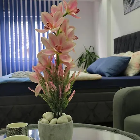 Apartment Revolution Star *