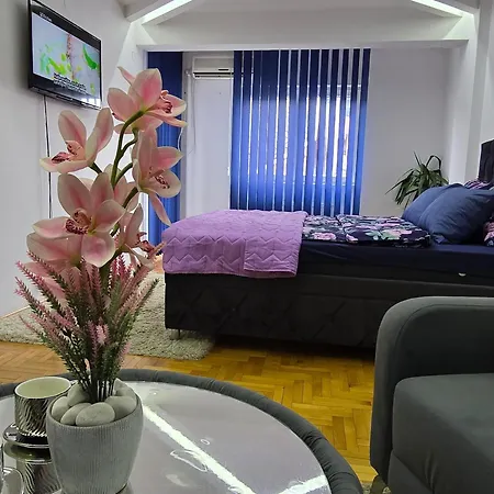 Revolution Star Apartment Leskovac (Jablanica)